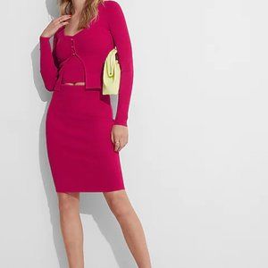 Sale! Express Neon Berry Body Contour Pencil Skirt - Medium